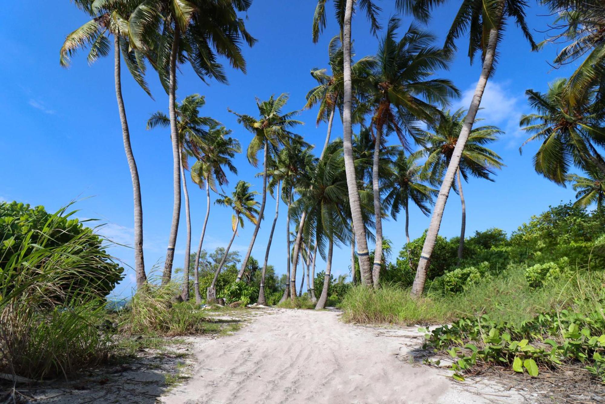 Rashu Hiyaa Hotel Дифуши Екстериор снимка